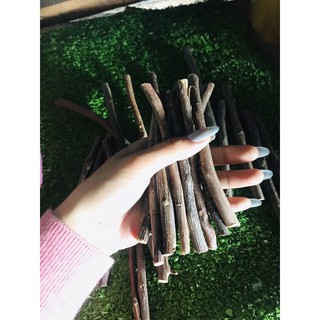 [SIÊU RẺ] Cành táo mài răng hamster, thỏ, bọ, sóc, chinchilla, gerbil.....