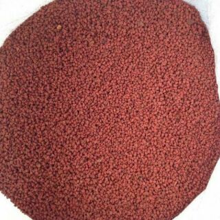 500gr Hạt cari ( hạt điều màu)