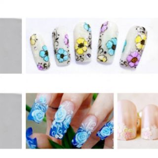 SET BỘT VẼ 12 MÀU (PK NAIL)