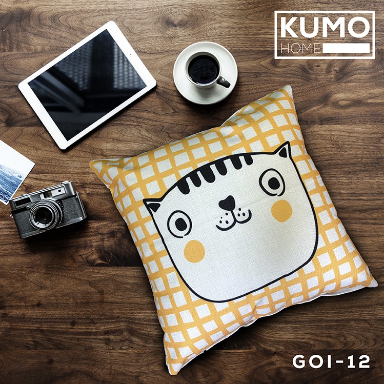 Gối trang trí 45x45 (cả ruột và vỏ)