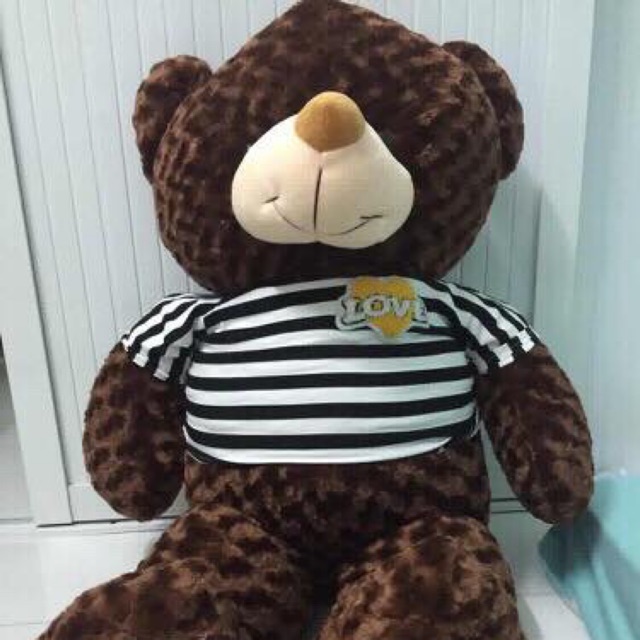 Gấu teddy 1m4