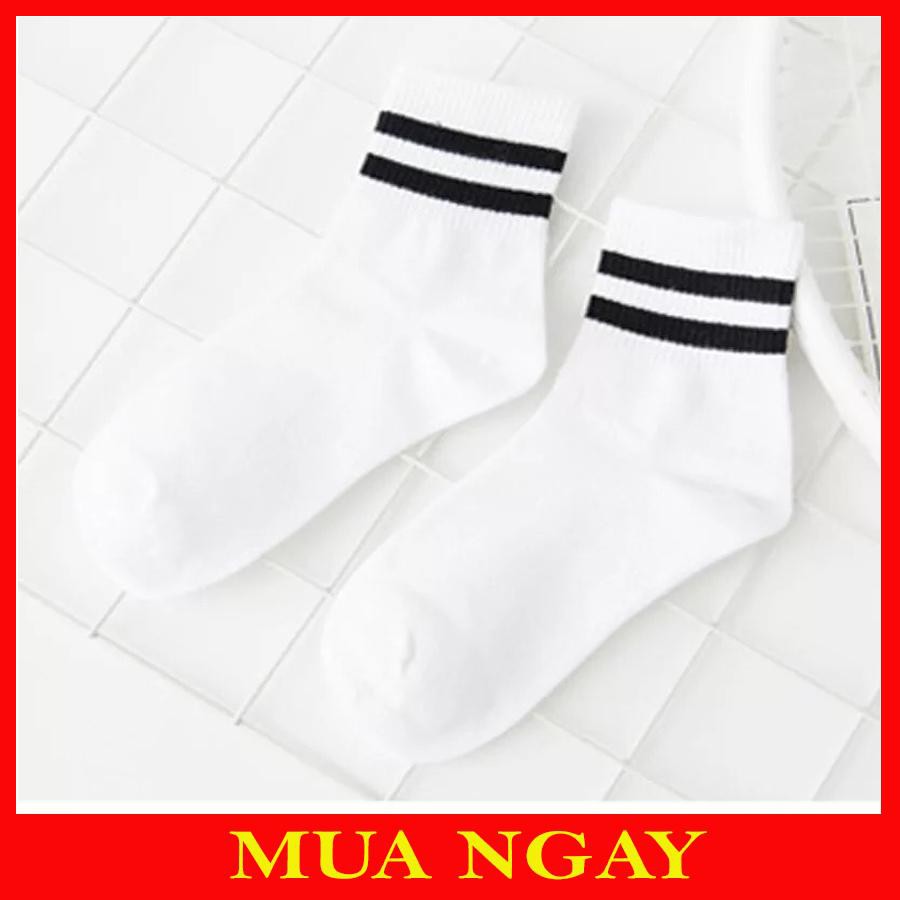 SET 2 ĐÔI TẤT CỔ NGẮN THỂ THAO CAO CẤP
