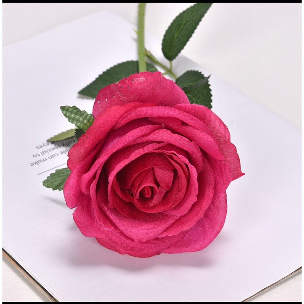 Sỉ Cành Hồng Nhung Cao Cấp 60cm hoa 10cm-Hn0