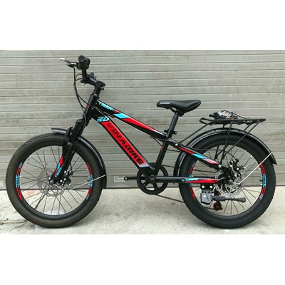 Xe Đạp V20 TIGER(VinaBike)