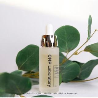 Tinh Chất CNP Laboratory Propolis Energy Ampule