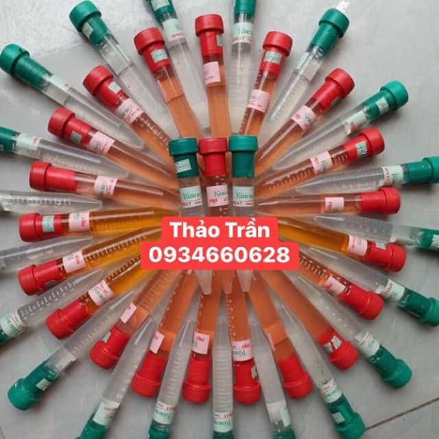 kích rễ cho lan