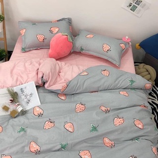 Set cotton poly nhập khẩu