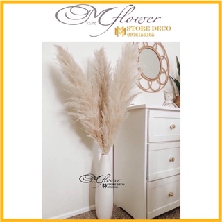 Bông Hoa Cỏ Lau khô loại hàng bông xù ,hoa cỏ lau trang trí