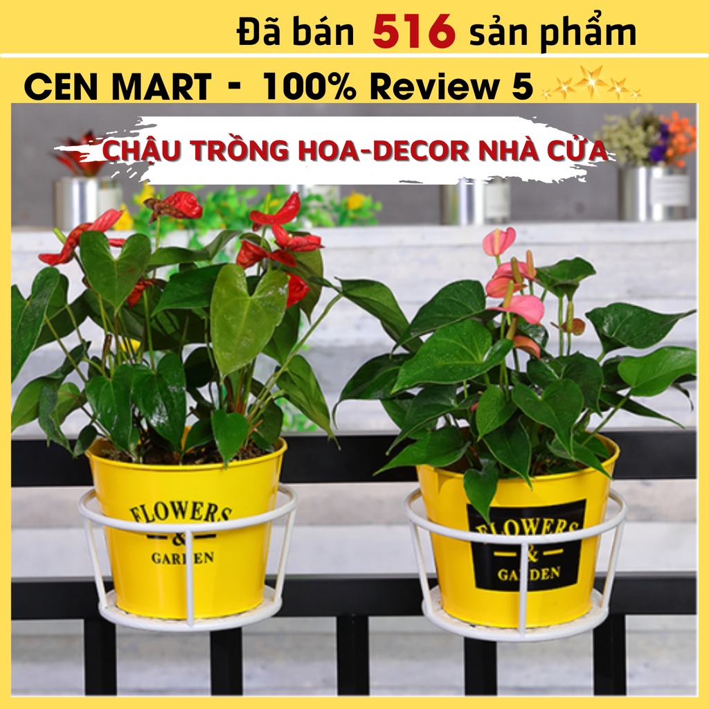 Chậu Thiếc Trồng Cây Cen Mart Trồng Hoa, Decor Nhà Cửa Xanh, Trắng, Vàng Sơn Tĩnh Điện, Chống Han Gỉ Có Lỗ Thoát Nước