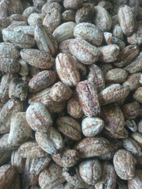 Chuối hột rừng Tây Bắc  khô sạch nguyên quả