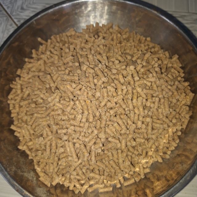 1kg cám viên cho chim ,  cho gà