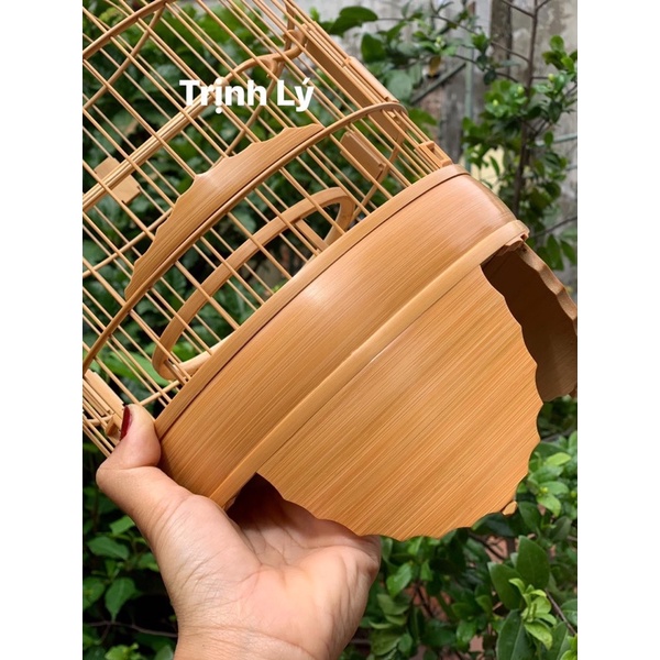 Lồng khuyên trơn. chân lá đề ngược size 22,5