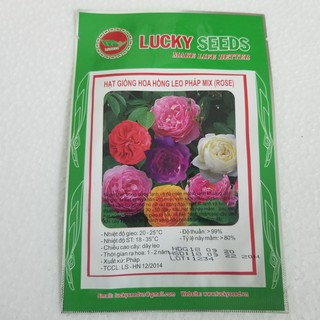 Hạt giống hoa hồng leo Pháp Mix - 20 hạt