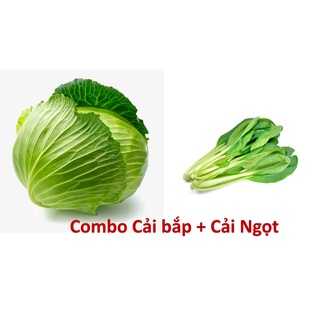 [CHỈ GIAO HCM] Combo 4: 500g Cải bắp + 500g Cải Ngọt  sạch chuẩn