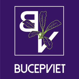 Bucep Viet