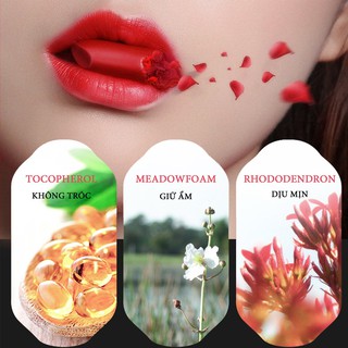 SOON PURE Noodles Lipstick Bean Paste Color 4g