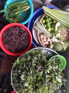 Dầu gội bồ kết thảo dược