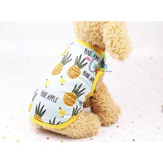 Áo Thun Trái Dứa Cute Cho Thú Cưng (Áo 031)