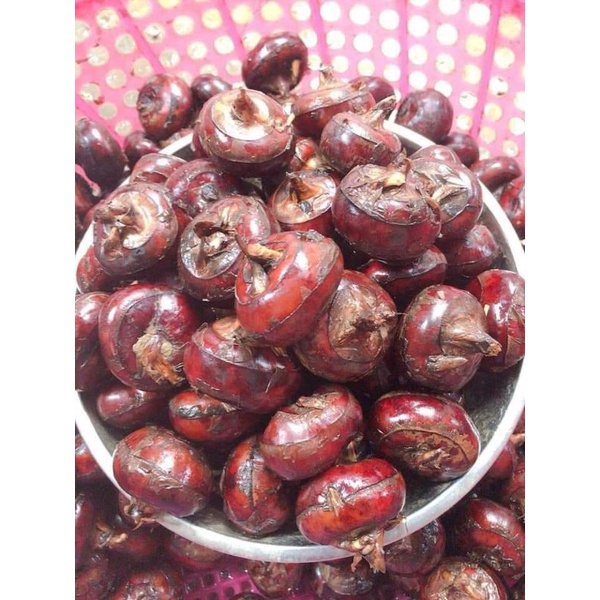 Củ mã thầy - củ năng tươi 1kg