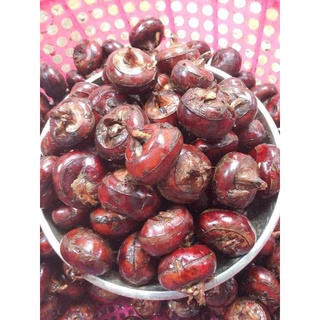 Củ mã thầy - củ năng tươi 1kg ( sỉ sll giá tốt - LH 0983609050)