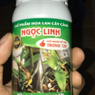Thuốc đặc trị thối nhũn 12 H thối rễ hoa lan trong 24h của ngọc linh siêu tốt