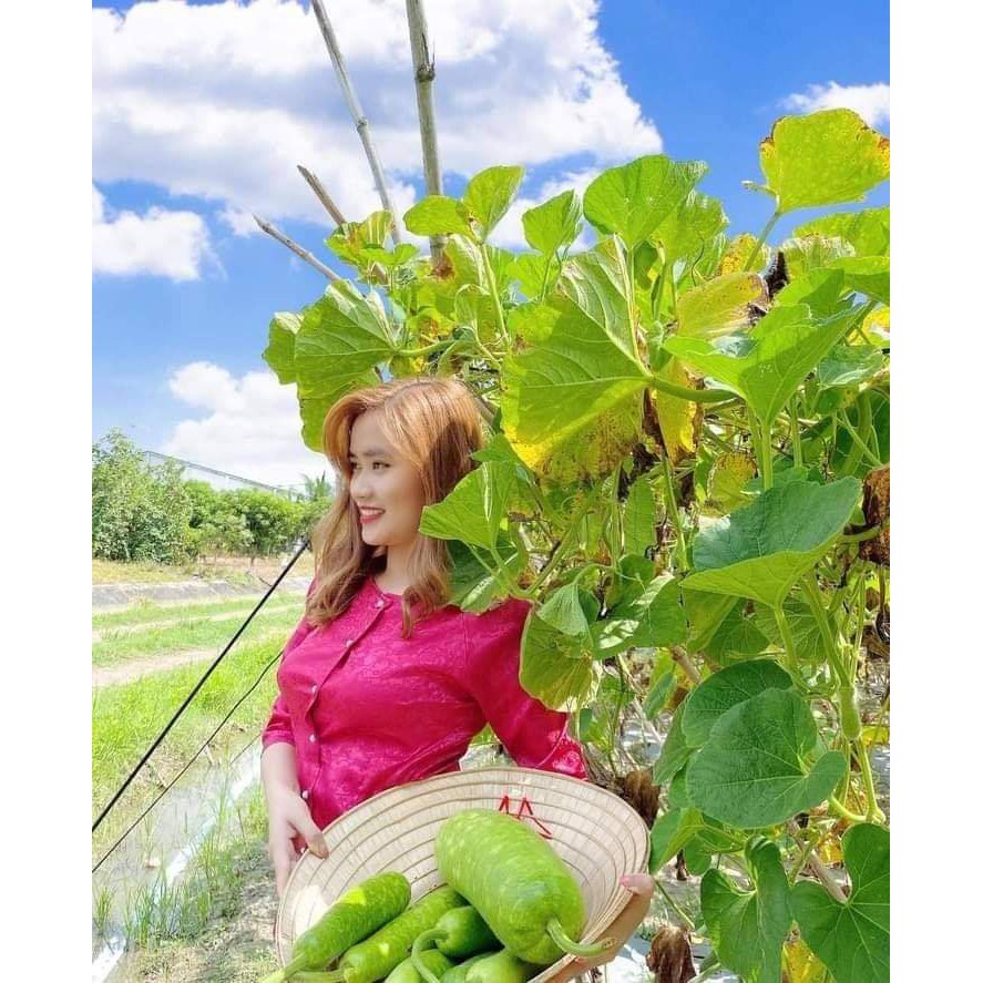 SÉT ÁO BÀ BA + QUẦN