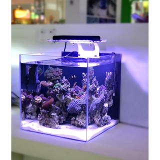 Zetlight ZA1201 - Đèn Led Bể San Hô Cá Biển