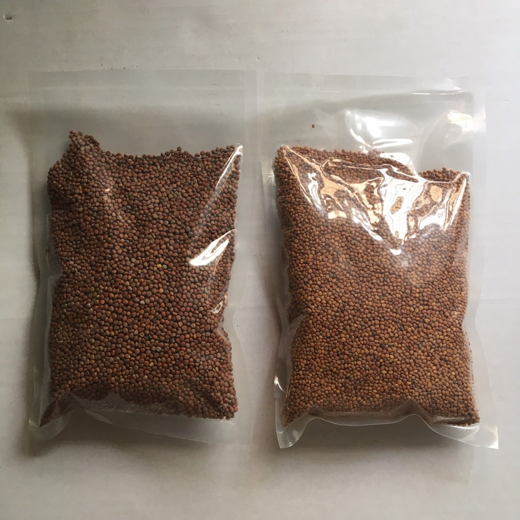 Hạt giống trồng rau mầm tại nhà gói nữa kg