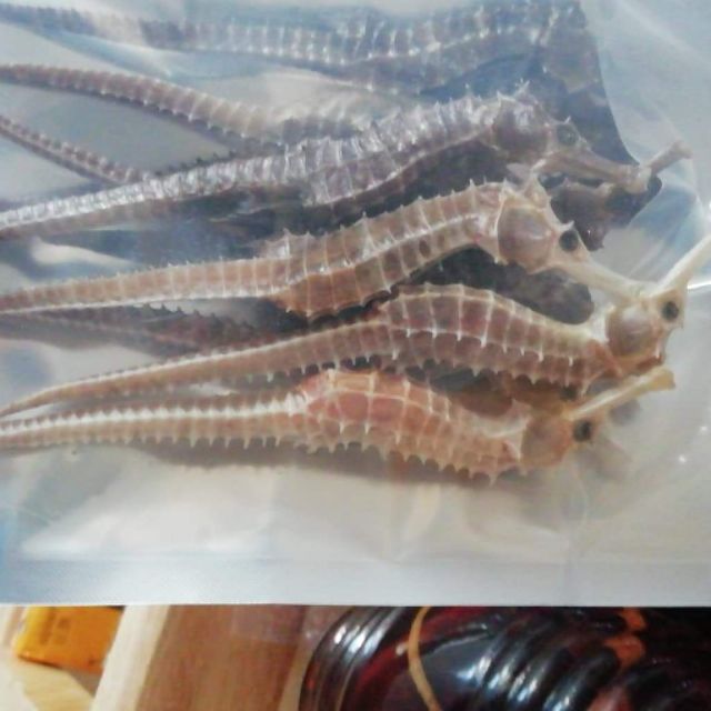 Cặp cá ngựa  size 10-12cm