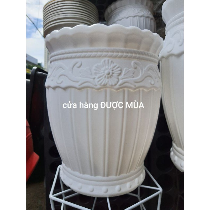 chậu lu sọc 26x30cm