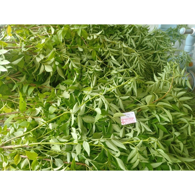 1kg cây cơm cháy