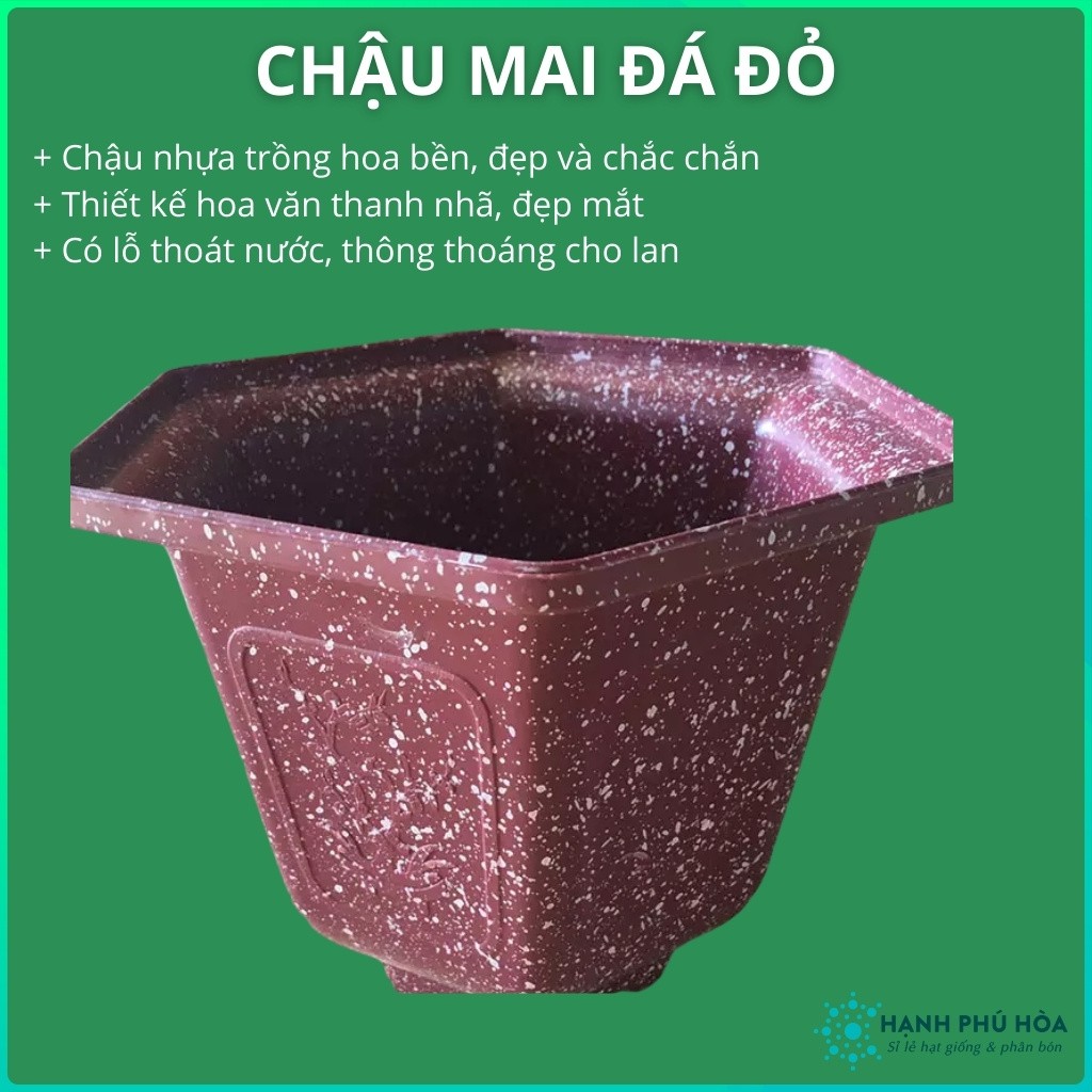 Chậu Mai Đỏ Giả Đá 210-280 -Trồng Hoa Lan, Cây Kiểng - Chậu Nhựa , Đẹp, Nhẹ, Chắc Chắn