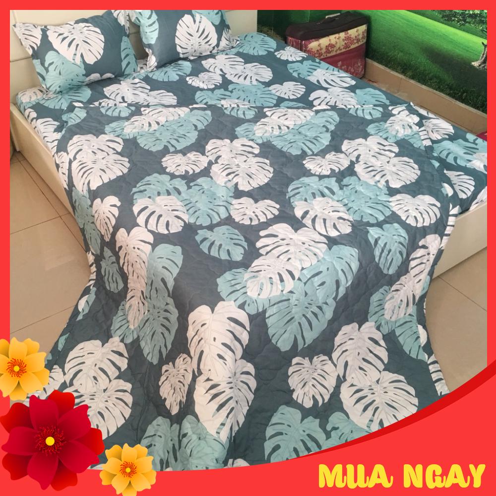 Bộ chăn hè ga gối, drap giường 5 món mẫu lá khoai