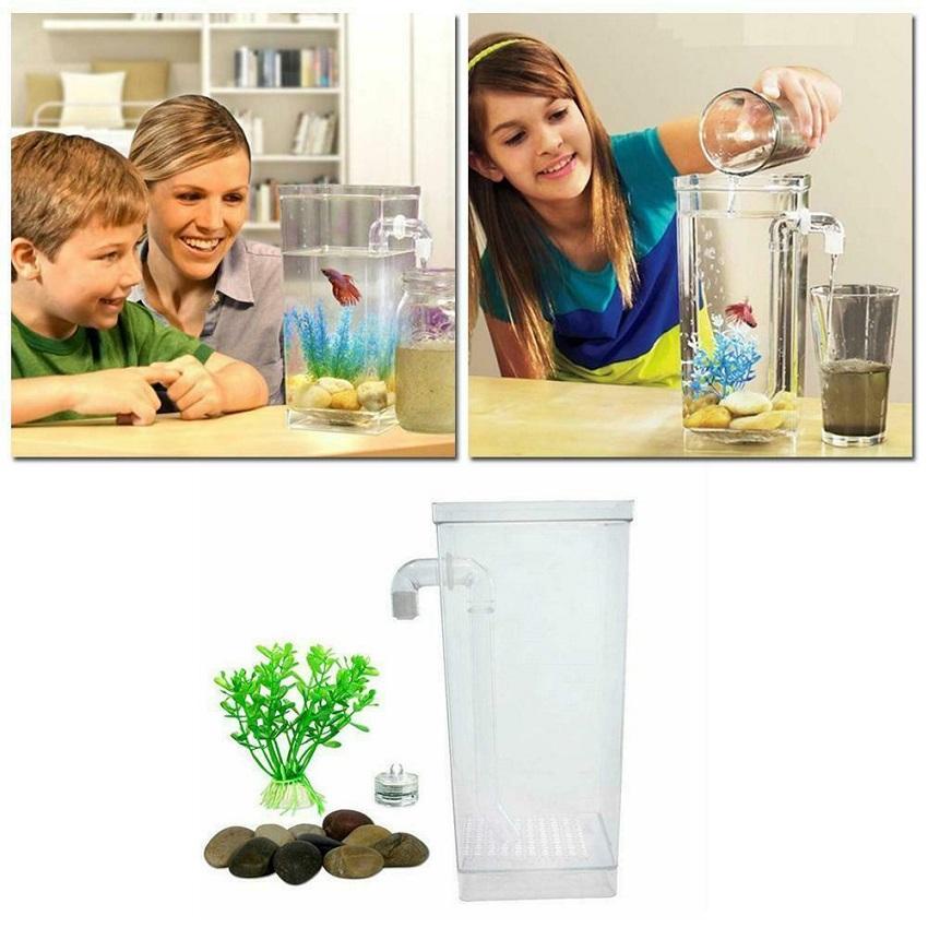 Bể cá thông minh mini My Fun Fish tự làm sạch nước bẩn