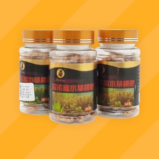 Phân nhét nền thủy sinh - nhét gốc