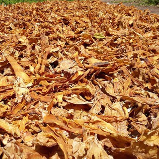 1kg măng le khô - Đặc sản tấy nguyên