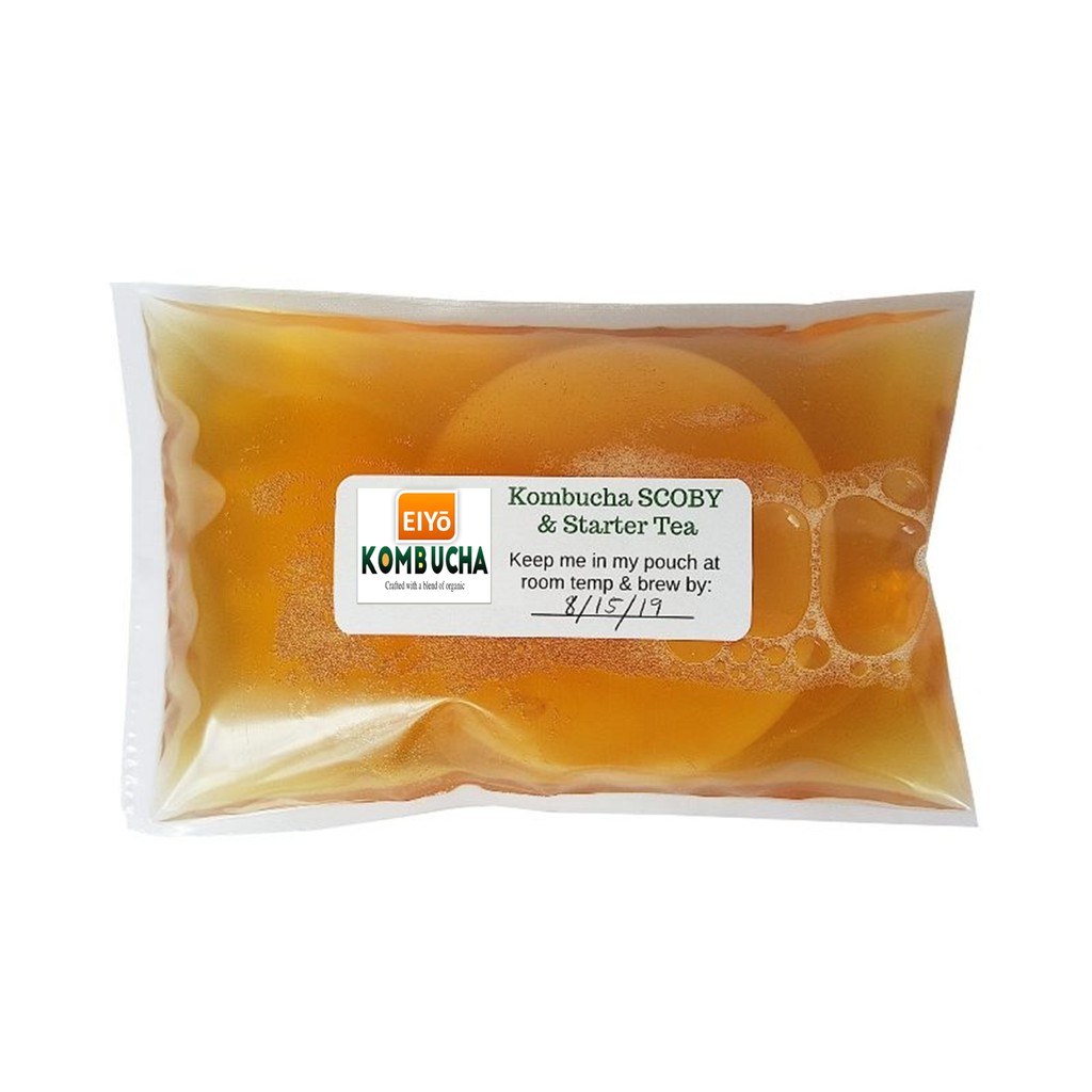 Combo SCOBY 3 món cho người mới (Gồm Con Giống SCOBY + Trà Đen + Đường Mía) chuẩn Organic Hữu Cơ làm trà Kombucha