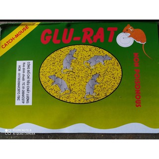 KEO DÁN CHUỘT BẪY DÁN CHUỘT GLU-RAT SIÊU DÍNH