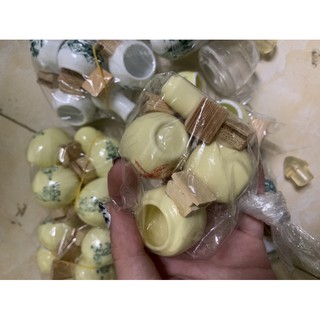 CÓNG SỨ LỒNG KHUYÊN
