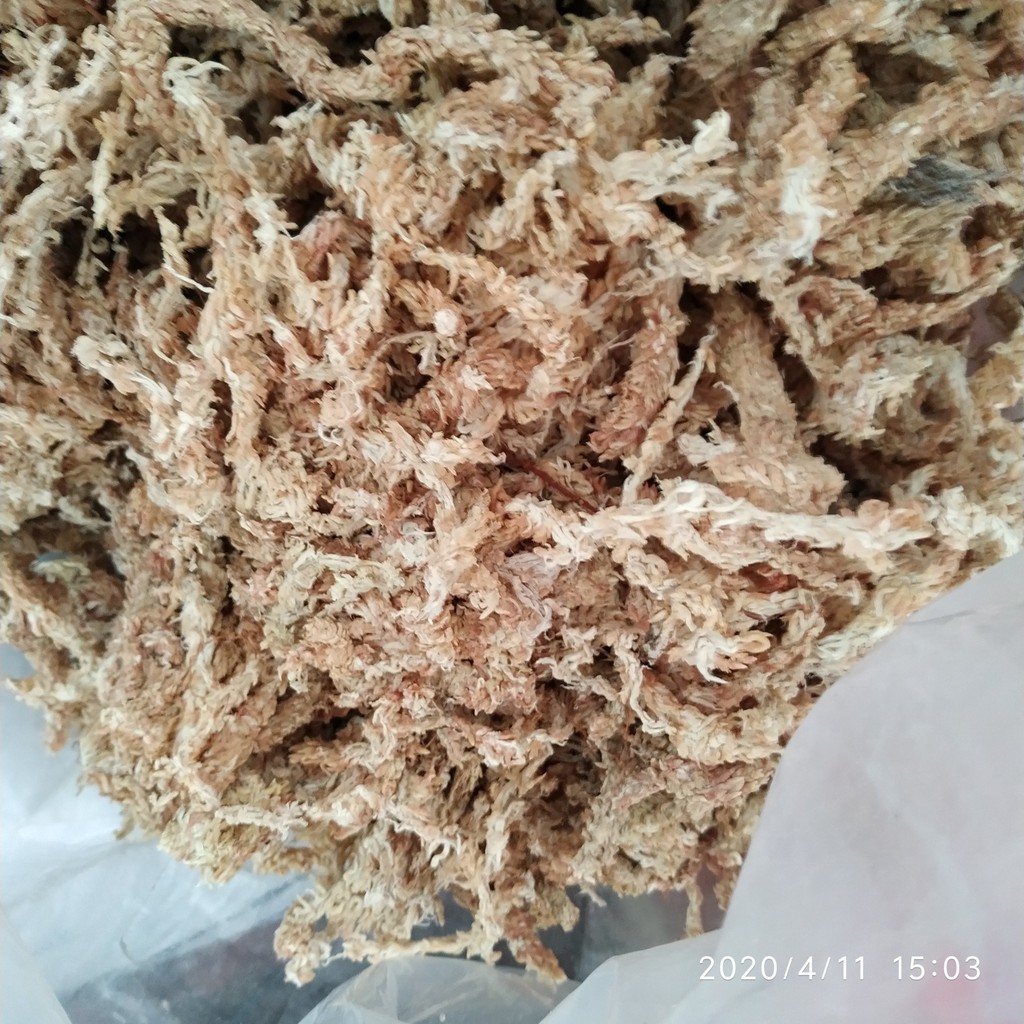 Rêu sâu Chile trắng giữ ẩm trồng lan 100g