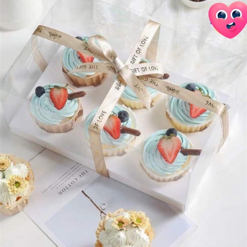Hộp mica nhựa đựng bánh Cupcake 4,6 bánh cao 10cm