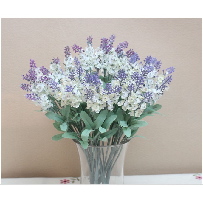 Hoa giả - Hoa lavender