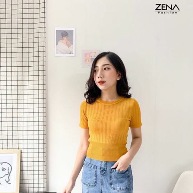 Áo len bo gấu ( ảnh thật ở cuối )
