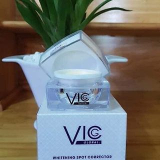 Sỉ 3 hộp kem face vic's
