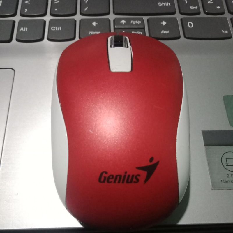 Chuột Genius (Không dây)