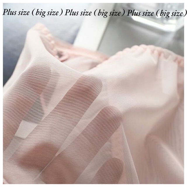 🎄Quần Lót Voan Bèo Xuyên Thấu Gợi Cảm Sexy🐾