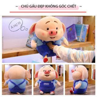 Heo Bông Tiktok, Gối Ôm Đáng Yêu - Hàng Cao Cấp - Full Size- Được Xem Hàng Trước