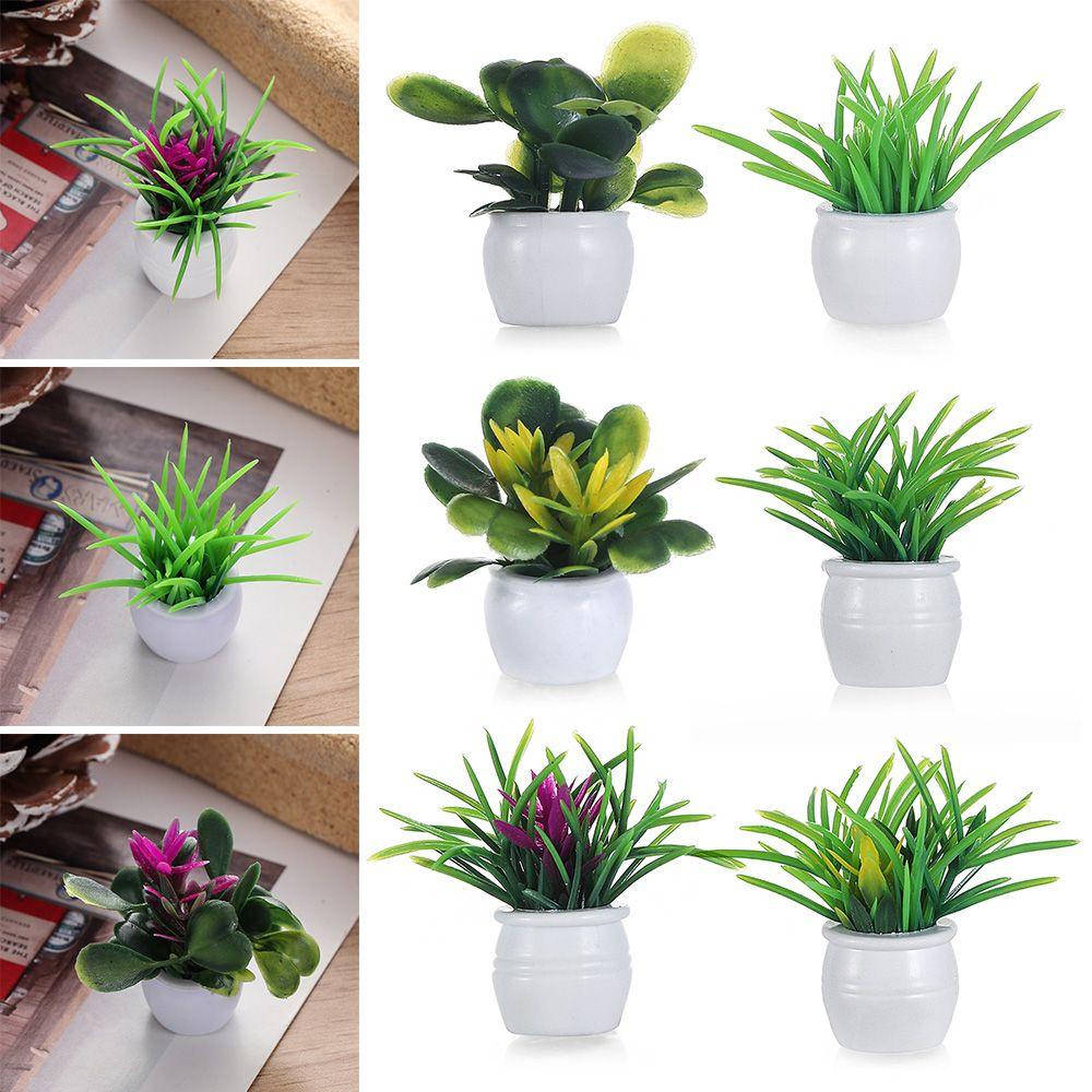 Bộ 5 Chậu Cây Xanh Trang Trí Nhà Cửa Tỉ Lệ 1: 12 3~4cm