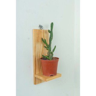 kệ treo cây cảnh xinh xinh kệ để đồ lưu niệm không cần khoan tường kích thước 27X10X10