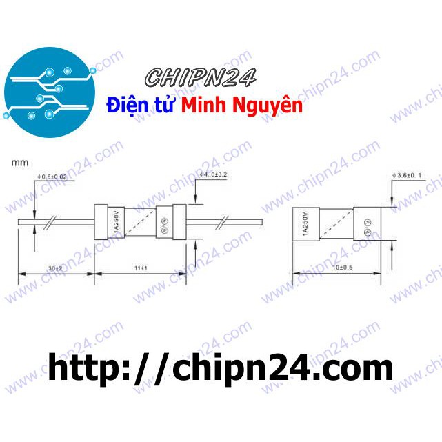 [5 CÁI] Cầu Chì 3.6x10mm 8A DIP (250V Chân cắm)